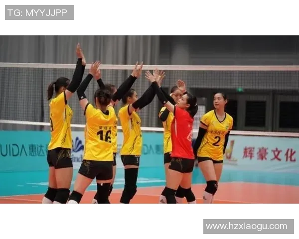 南京排球队积分榜领跑70分展现强劲实力引发关注